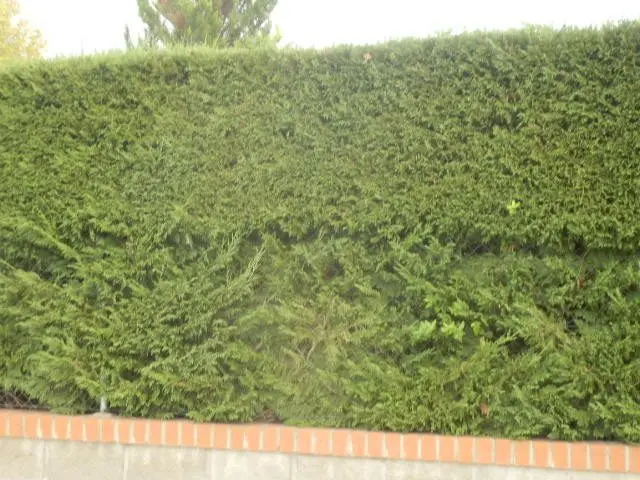 Avenida Puente Romano, 28