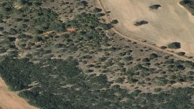 Polígono 12, Parcela 85