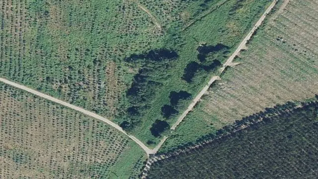 Polígono 7, Parcela 1020, Paraje Carballeira