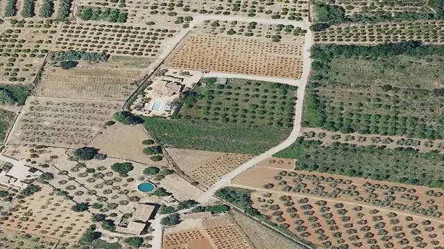 Camino de Comex, 1