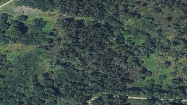 Lg Agro Nogueira 0