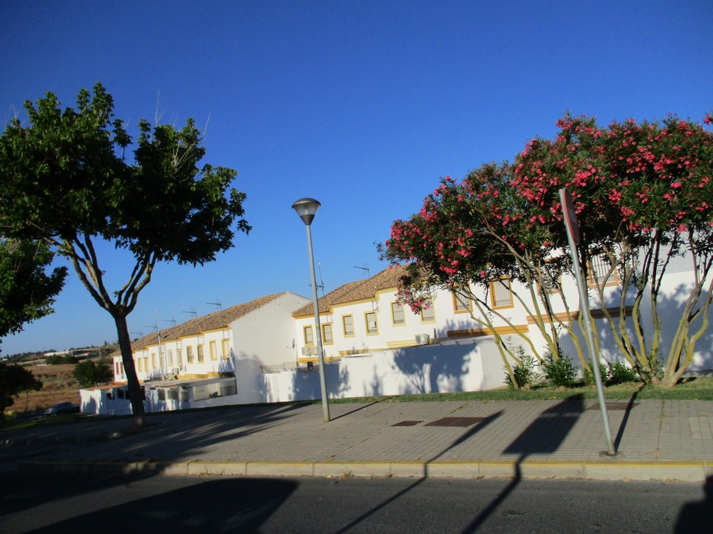 Calle Playa de los Enebrales, 8, -1º 20