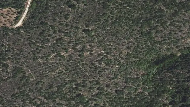 Polígono 514, Parcela 1342, Paraje los Pizarrones