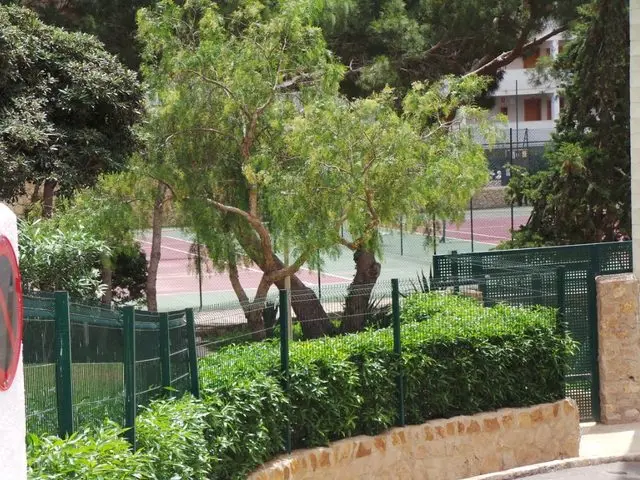 Avenida Paris, 16, Puerta 6