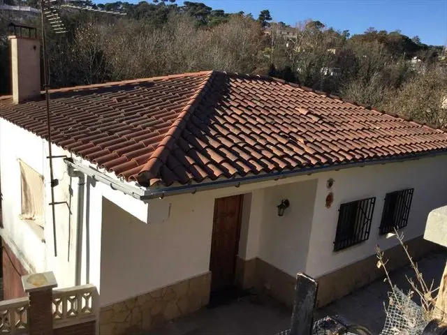 Calle dels Eucaliptus, 25