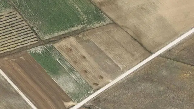 Polígono 505, Parcela 125, Paraje Paraje la Beduga (y 1 Finca Más)