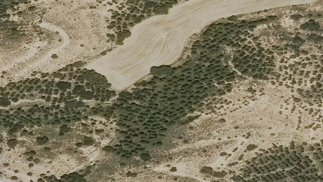 Polígono 510, Parcela 74, Paraje Carrascas Tío Bruno