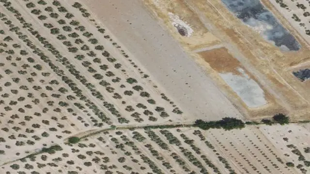 Paraje Albercon O Arrecife