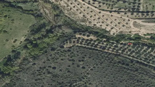 Polígono 104, Parcela 11, Paraje Tafuquer