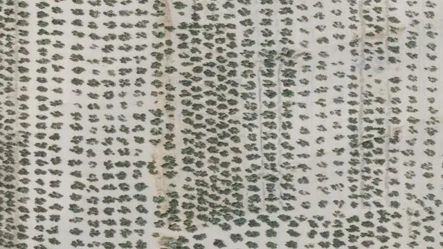 Paraje Censo/ Censo de Cordoba