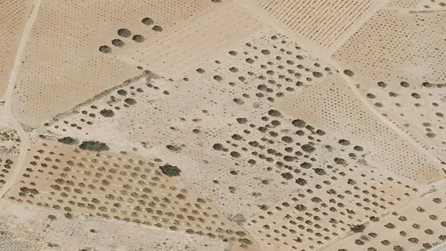 Paraje Roques