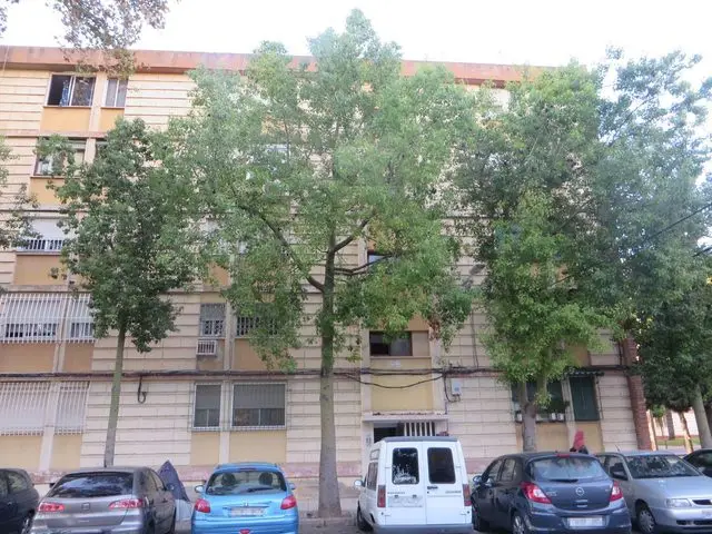 Calle Mariano Herrera, 19