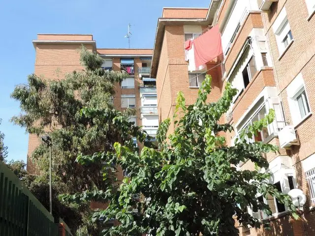 Avenida Carlos V, 35, Bajo
