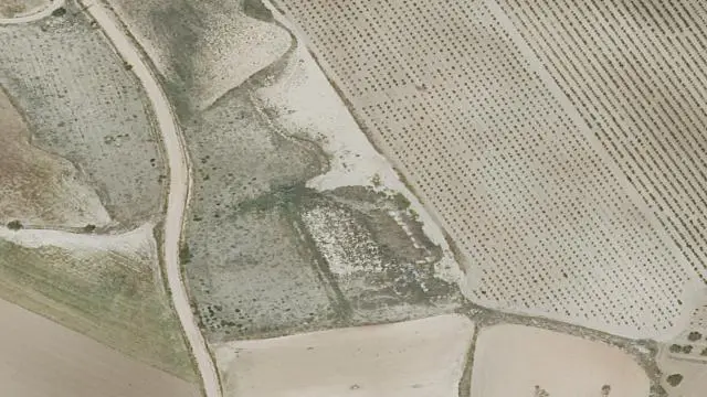 Sitio el Pedregal