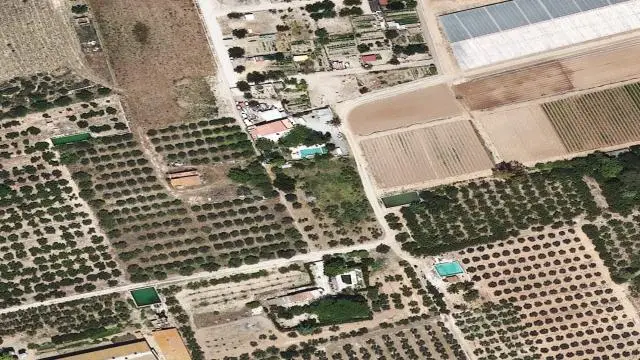 Partida Planes del Roquis, Polígono 3, Parcela 79, del Municipio