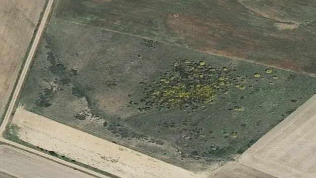 Polígono 501, Parcela 20046