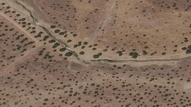 Higuera de Llerena