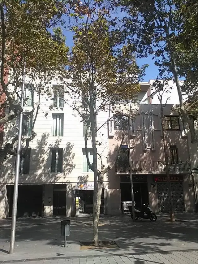 Rambla Rafael Casanova 4-6 1º 3ª