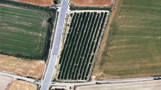 Partida "Fondo Viñas"