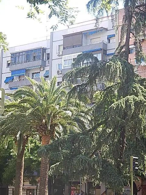Avenida Hernan Cortes, 4, 6º 0I