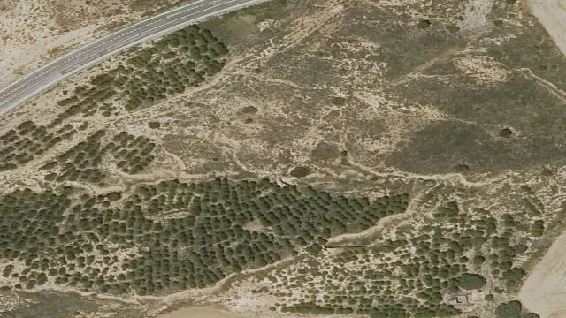 Polígono 510, Parcela 46, Paraje el Rubial