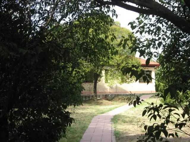 Calle Gutierrez Canales S/n