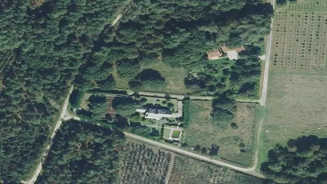 Lugar Tallos Darriba