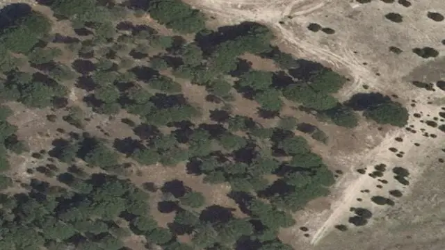 Lugar Paraje Nava Grande