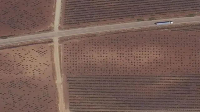 Campo Viejo