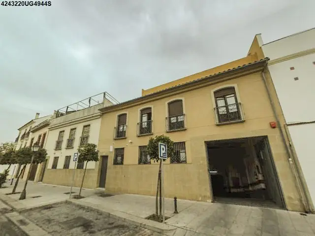 Paseo Ribera, 23, Bajo
