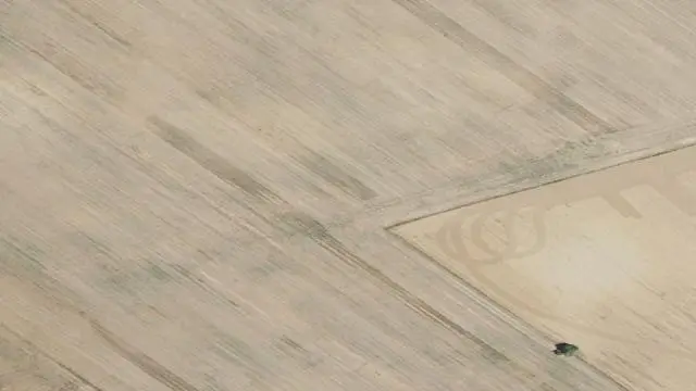 Carboneros