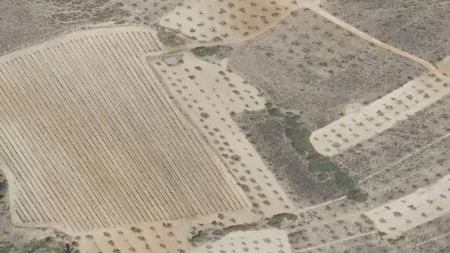 Lugar Coscoja