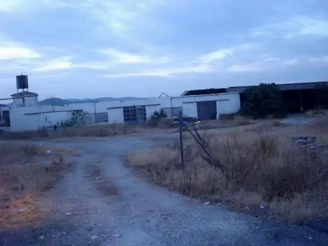 Pieza de Tierra, Secano, en "el Viruelo", Alcaudete, Superficie de 16.900,26m²