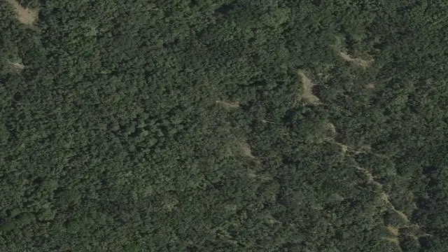 Polígono 9, Parcela 809, Paraje Rebollares de
