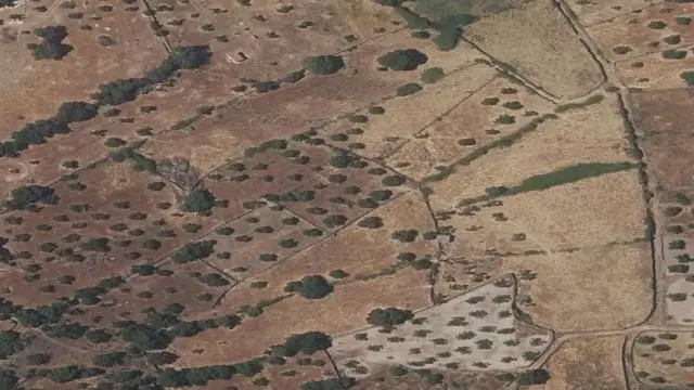 Peña de la Hita, Poligono 5, Parcela 116