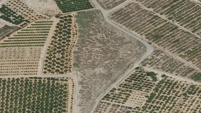 Partida de la Parada