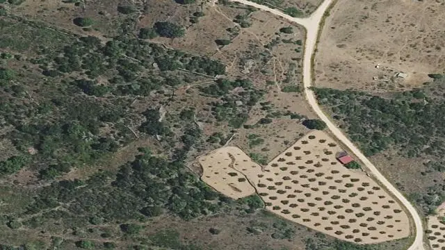 Polígono 507, Parcela 1024, Paraje Monte el Puerto