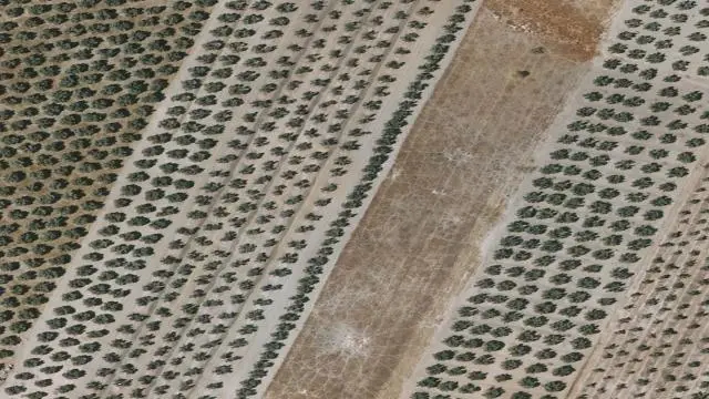 5376 Paraje Solana