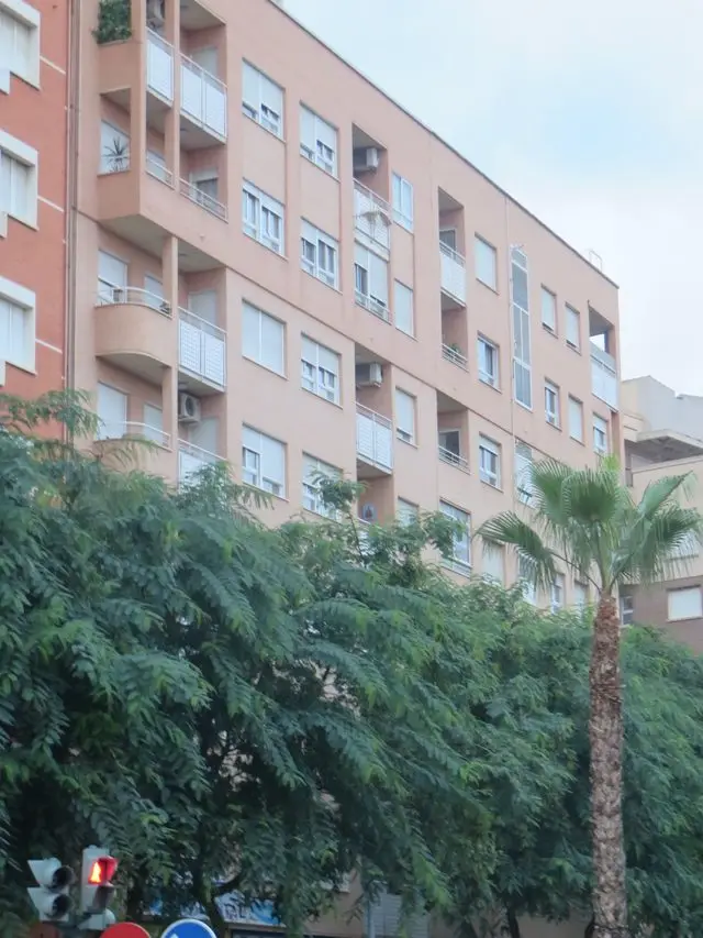 Calle Historiador Juan Torres Fontes, 17