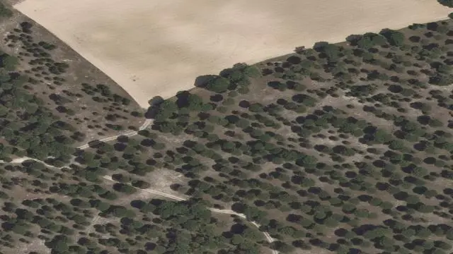Tn Paraje Nava Rodrigo 0, 47454 Moraleja de las Panaderas