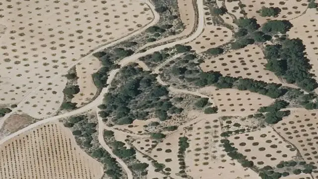 Paraje la Artiga