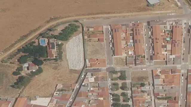 Calle León Xiii 31