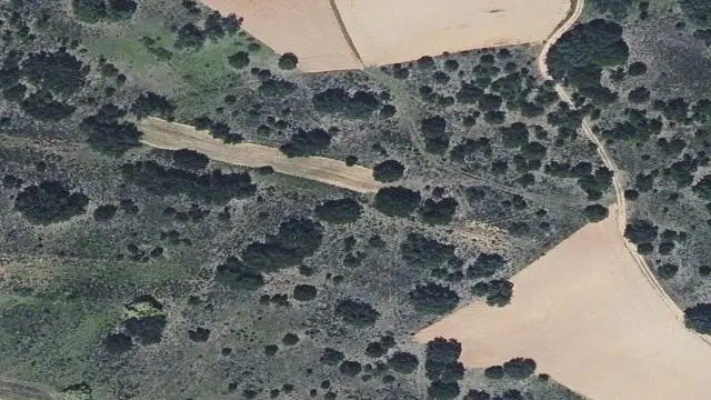 Polígono 22, Parcela 438, Paraje Corrales