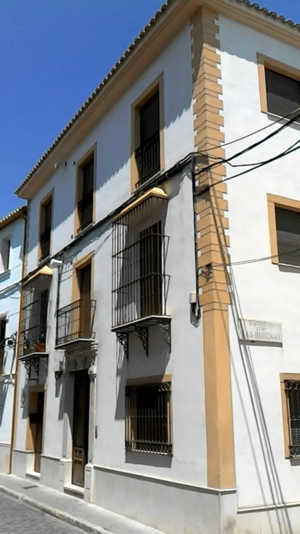 Calle Mesones, 50