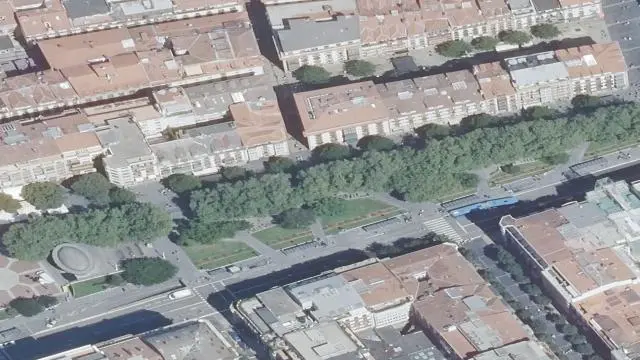 Planta Bajo